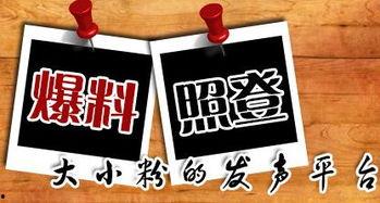 重庆爆料博主最新爆料,揭秘城市背后不为人知的秘密